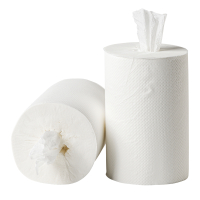 Poetsrol mini hulsloos cellulose 1-laags